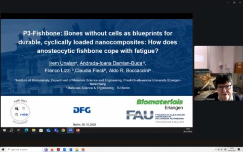 Zum Artikel "Fortschrittsbesprechung der Forschungsgruppe FOR 5657 „BioAntiFatigue” an der TU Berlin"